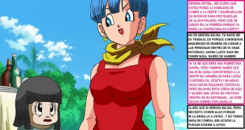 BULMA Y PETISA SAGA MAJIN BU cover