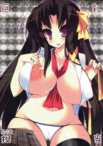 Kyonyuu Tantou. cover