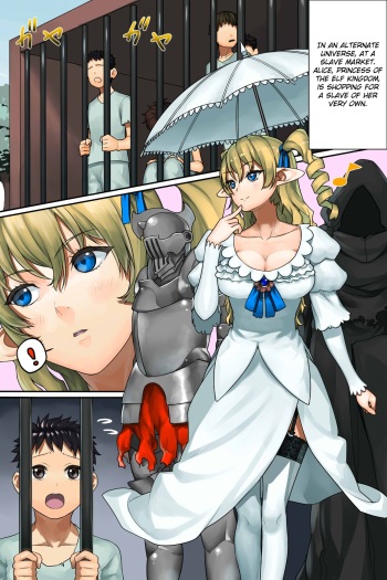 hime elf ni seidorei toshite kawareta shota no hanashi | The tale of a shota bought by an elf princess as a sex slave cover