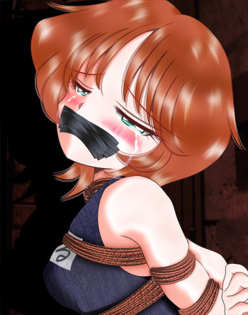 Hakurai Shoujo Series cover