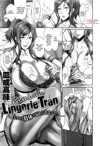 Premium Lingerie Trap cover