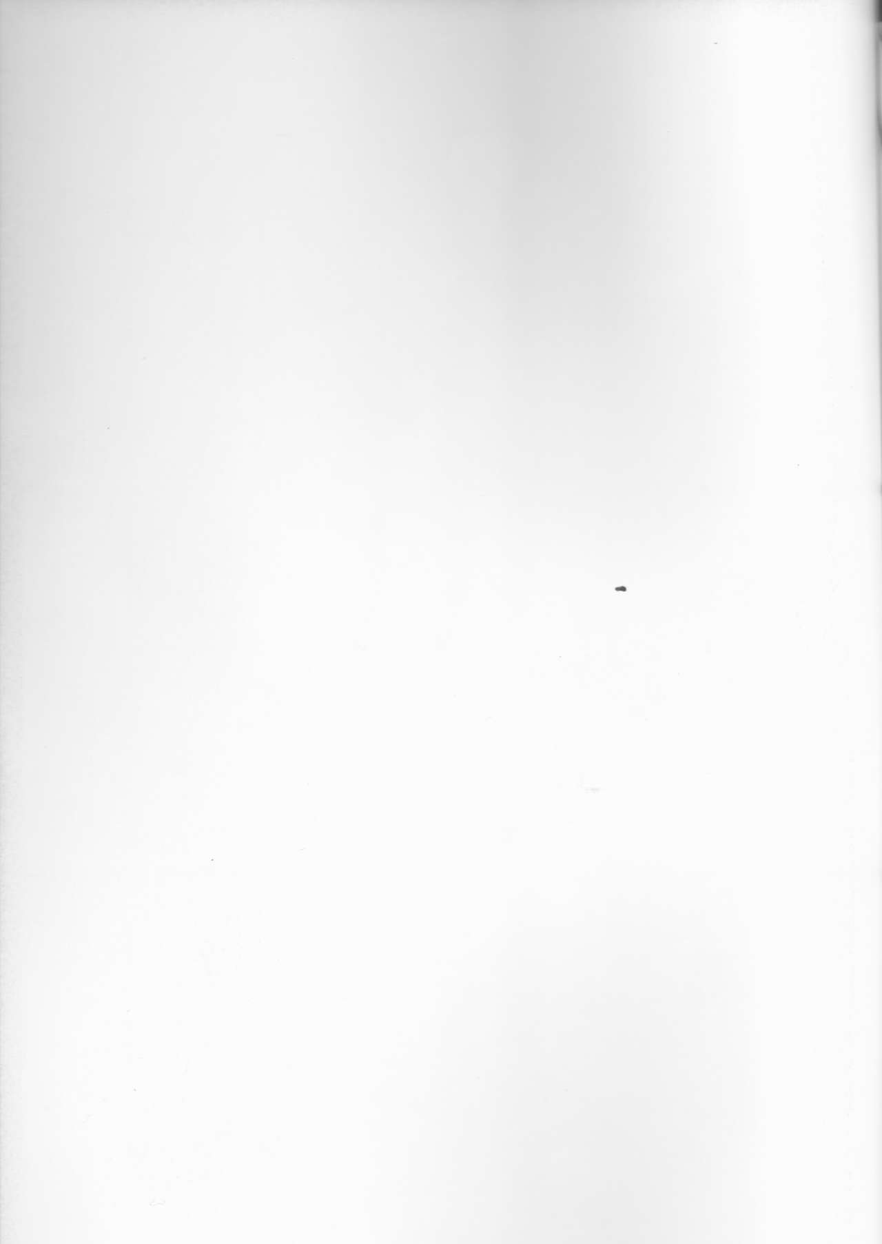 Pesorna page 2 full