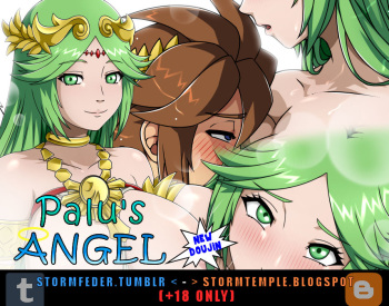 Palu's Angel cover