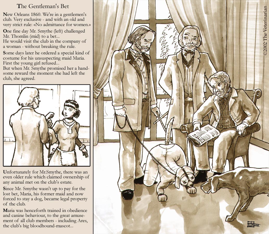 Artist Gallery - The Veterinarian page 5 full