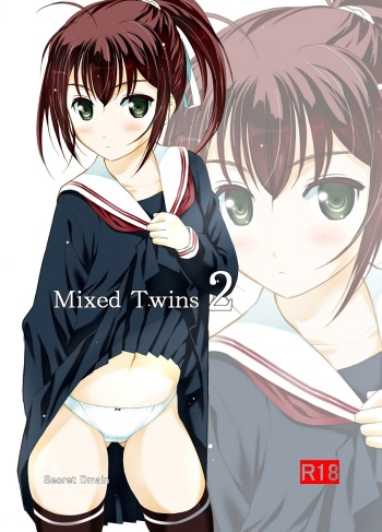 Mixed Twins 2 cover
