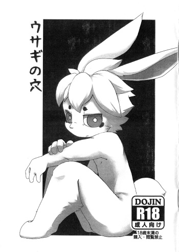 Usagi No Ana cover