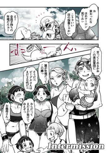 Intermission cover