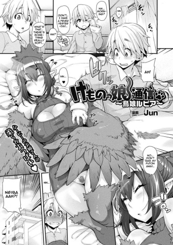 Kemonokko Tsuushin ~Toriko Rupia~ | Animal Girl Hotline ~ Bird Girl Rupia cover