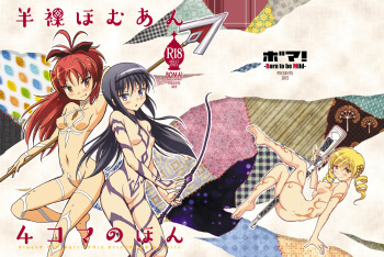 Hanra HomuAn 4-koma no Hon cover