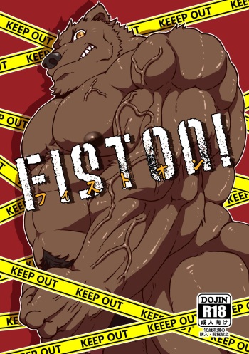 FIST ON! cover