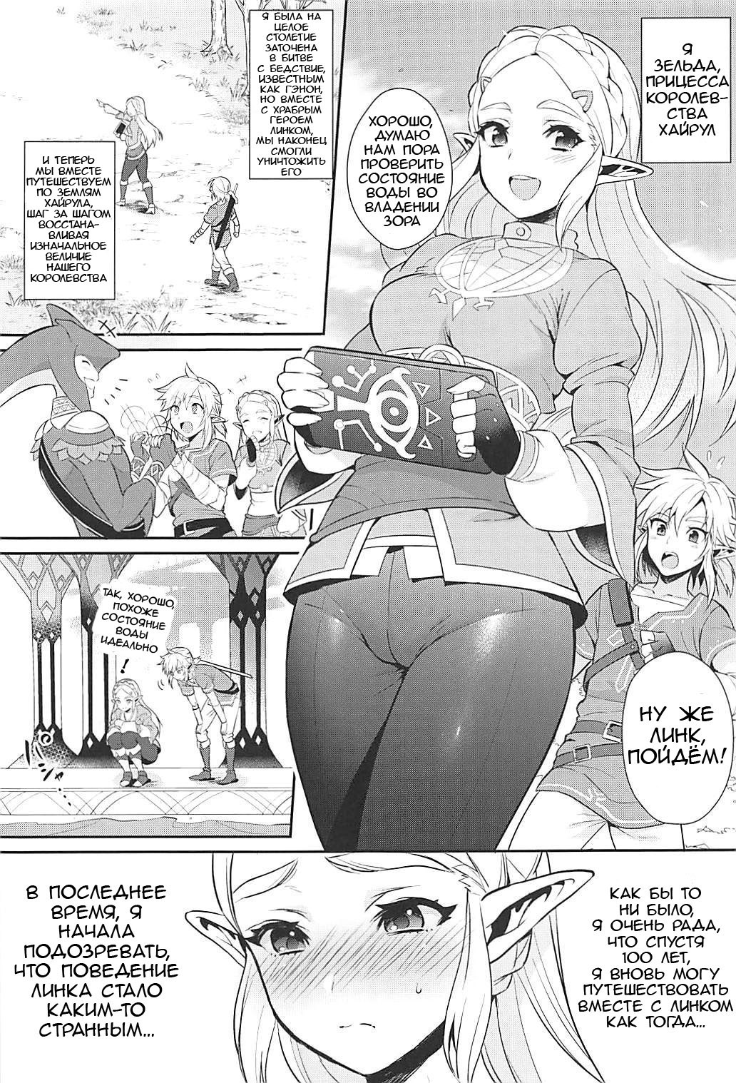 Hyrule Hanei no Tame no Katsudou! | Деятельность ради будущего Хайрула! page 4 full