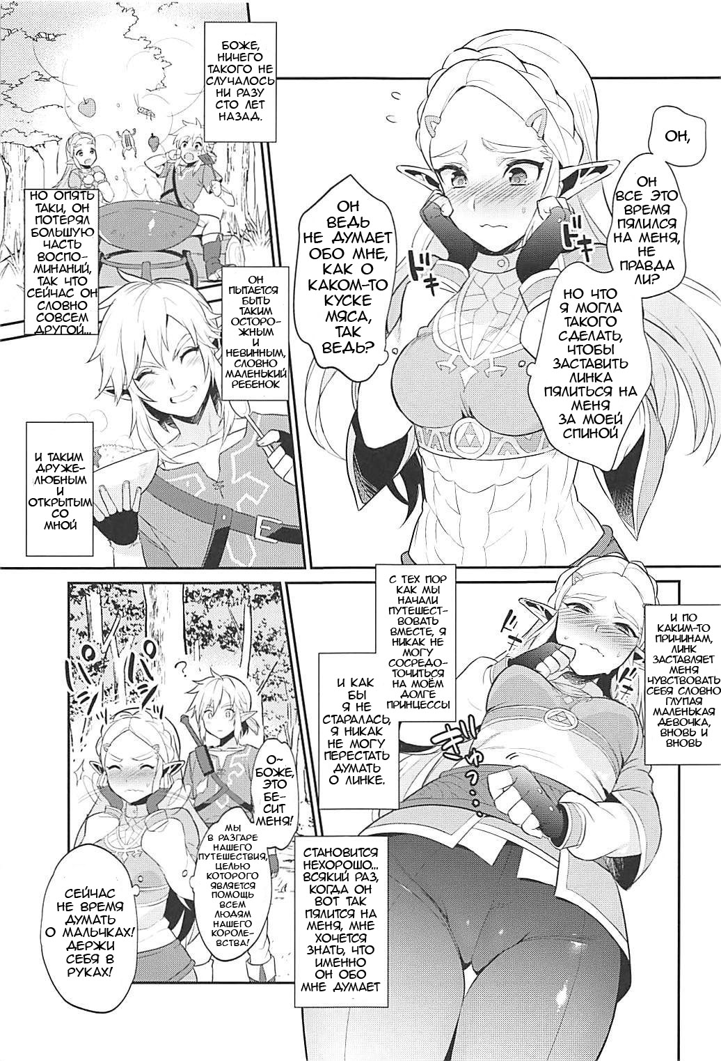 Hyrule Hanei no Tame no Katsudou! | Деятельность ради будущего Хайрула! page 6 full