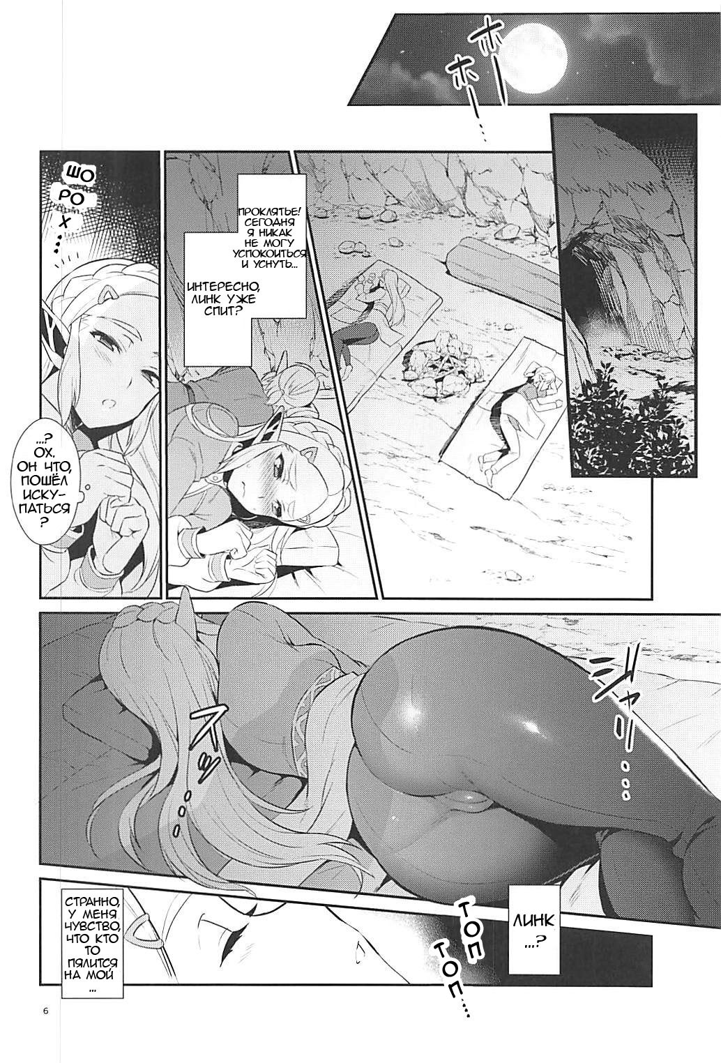 Hyrule Hanei no Tame no Katsudou! | Деятельность ради будущего Хайрула! page 7 full