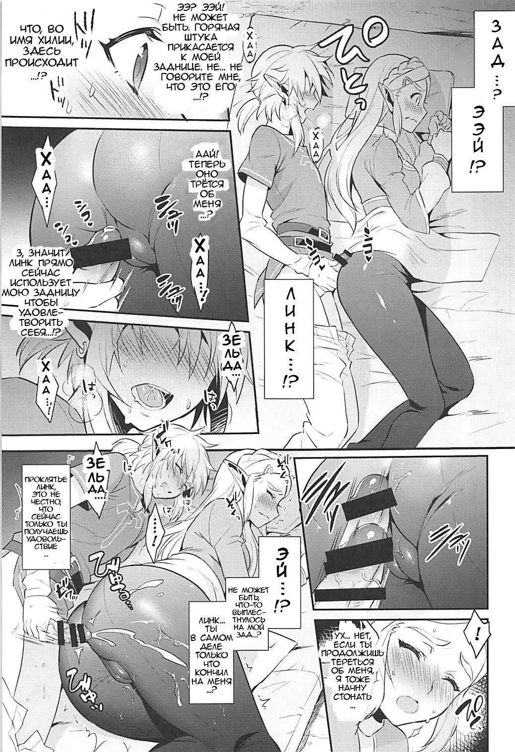 Hyrule Hanei no Tame no Katsudou! | Деятельность ради будущего Хайрула! page 8 full