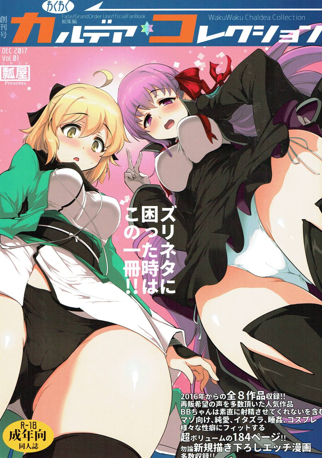 WakuWaku Chaldea Collection page 1 full