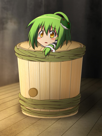 Tarutsume Funbenzuke Sanae-san! cover