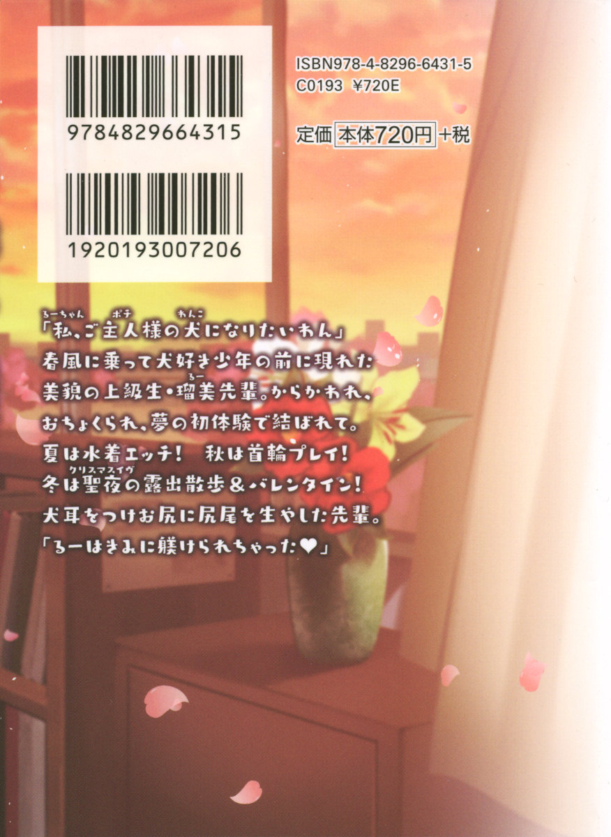 Boku to Ruu Senpai no Houkago Choukyou Nisshi - Kyou mo Watashi o Shitsukenasai! page 7 full