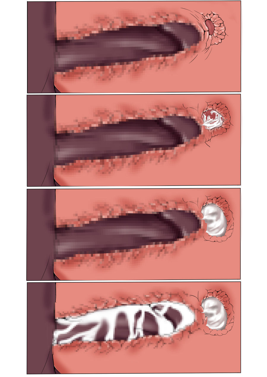 Reiju Oshioki Panpan page 8 full