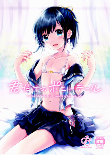 Kimi Dake no Ponytail cover