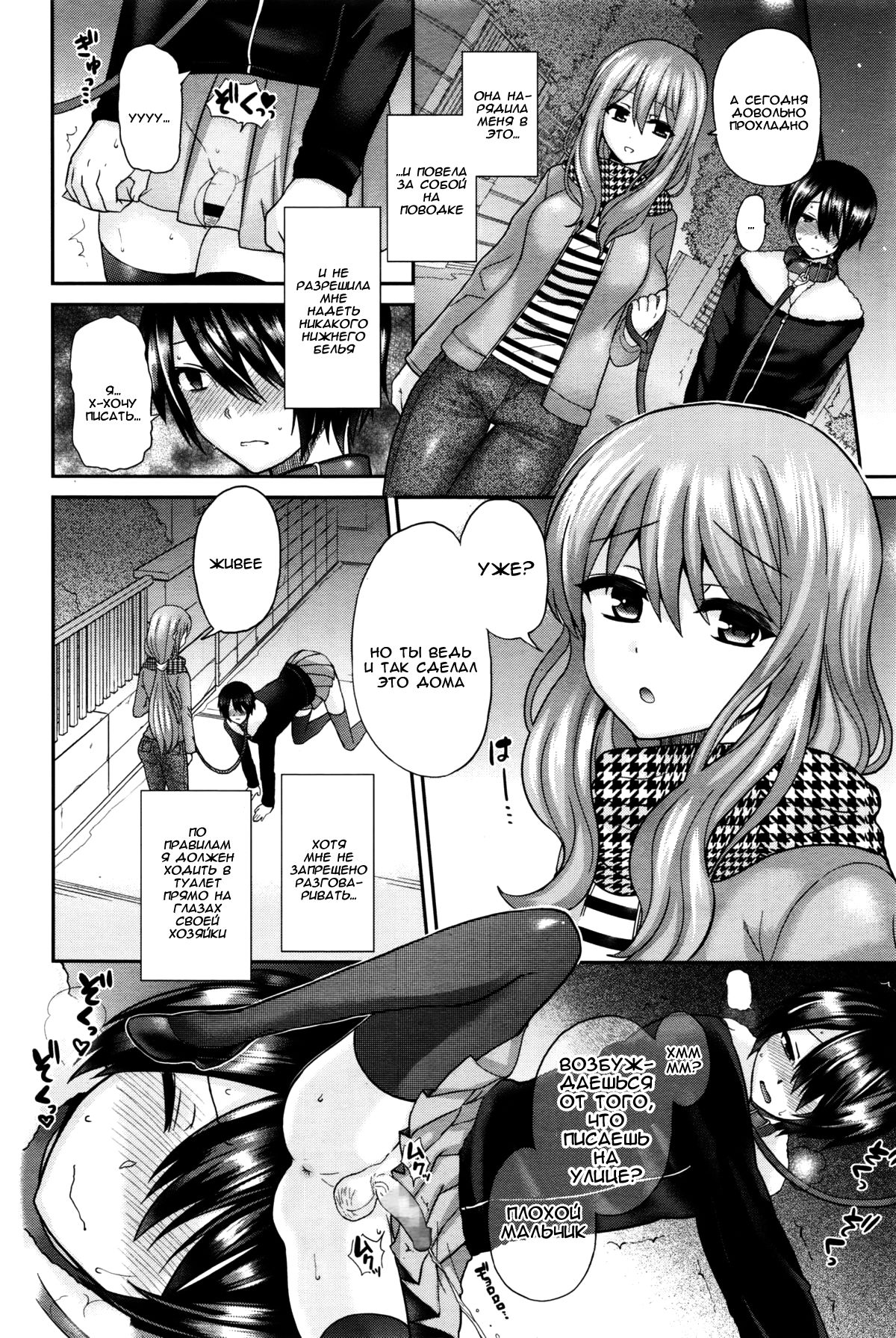 Domestic Dog | Домашняя Собаука page 2 full