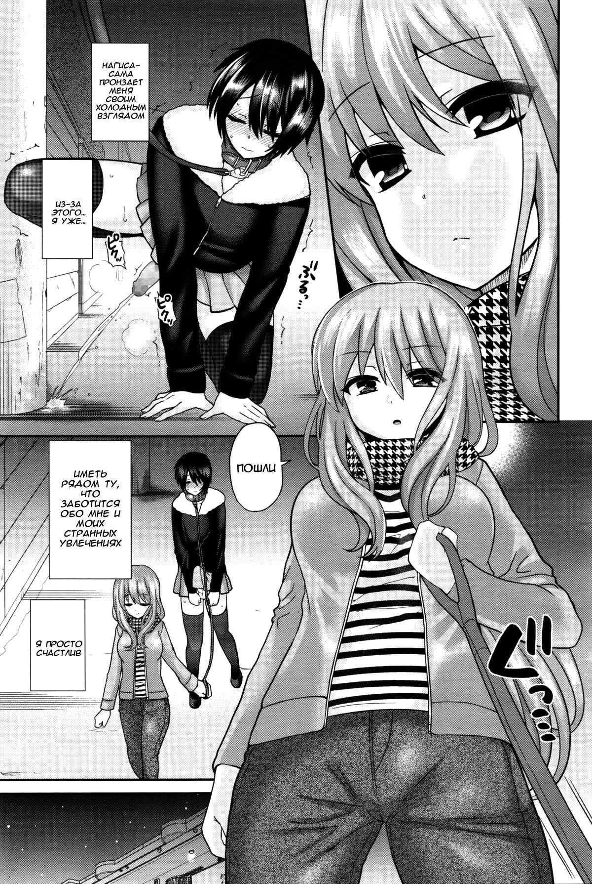 Domestic Dog | Домашняя Собаука page 3 full