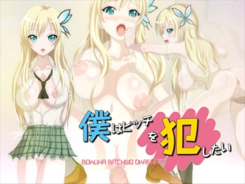 Boku wa Bitch o Okashitai cover