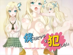 Boku wa Bitch o Okashitai