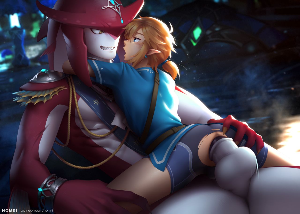 Link and Sidon Prince page 5 full
