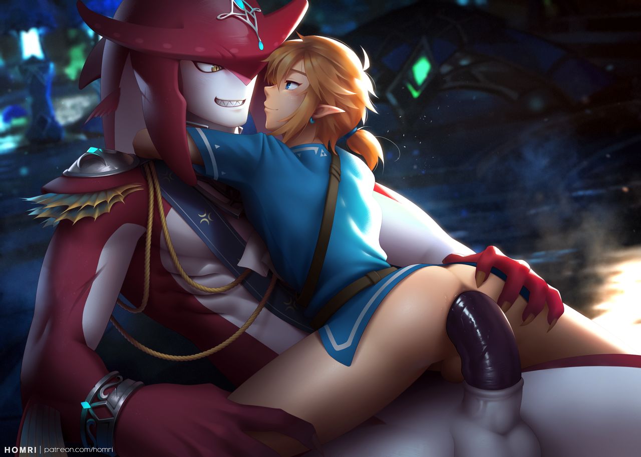 Link and Sidon Prince page 7 full