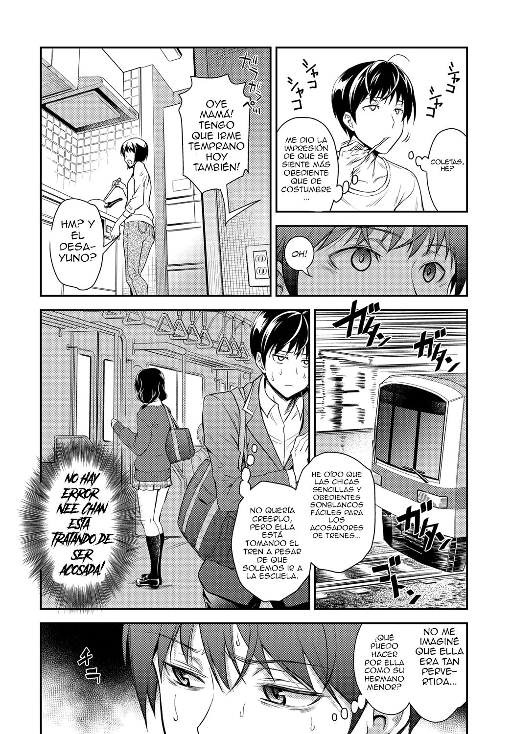 Kaisoku Ane no Koukishin | La curiosidad de la hermana a alta velocidad page 4 full