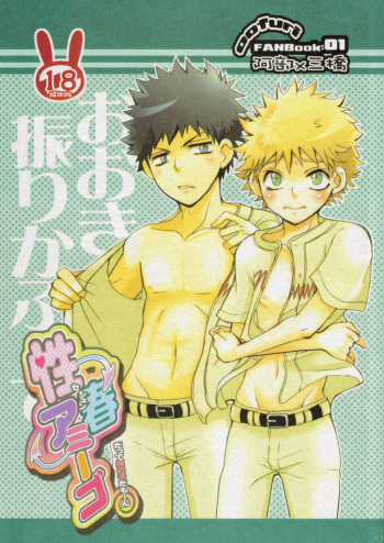 Seishun amigo~datte otoko no ko damon~ cover