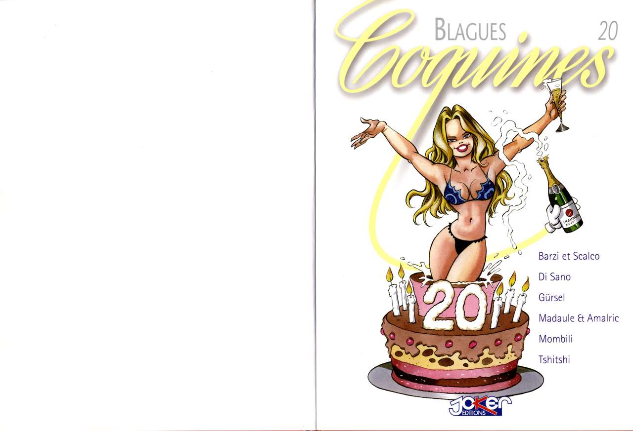 Blagues Coquines Volume 20 page 3 full