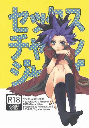 Sex Challengers cover