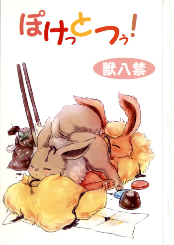 Pocket Two! cover
