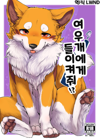 Kitsuneinu ni Nomaso!? | 여우개에게 들이켜줘!? cover