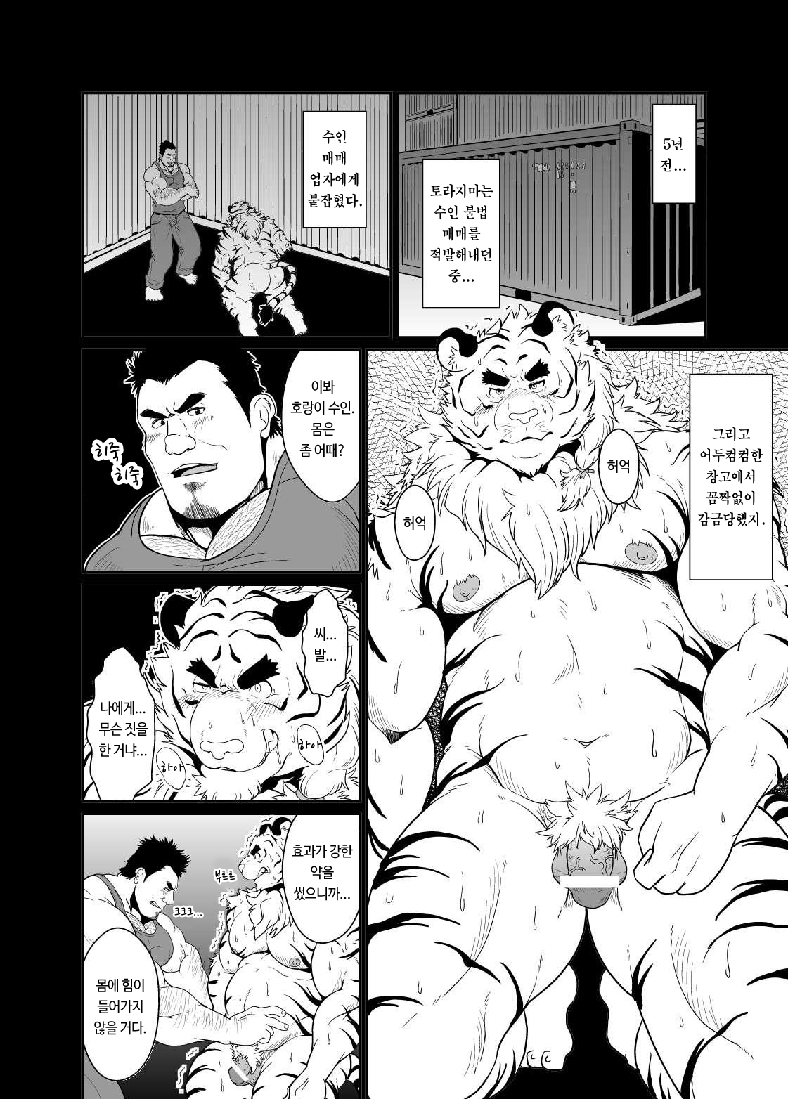 Toradorei -KEMONO Company 2- | 호랑이 노예 -KEMONO 컴퍼니 2- page 7 full