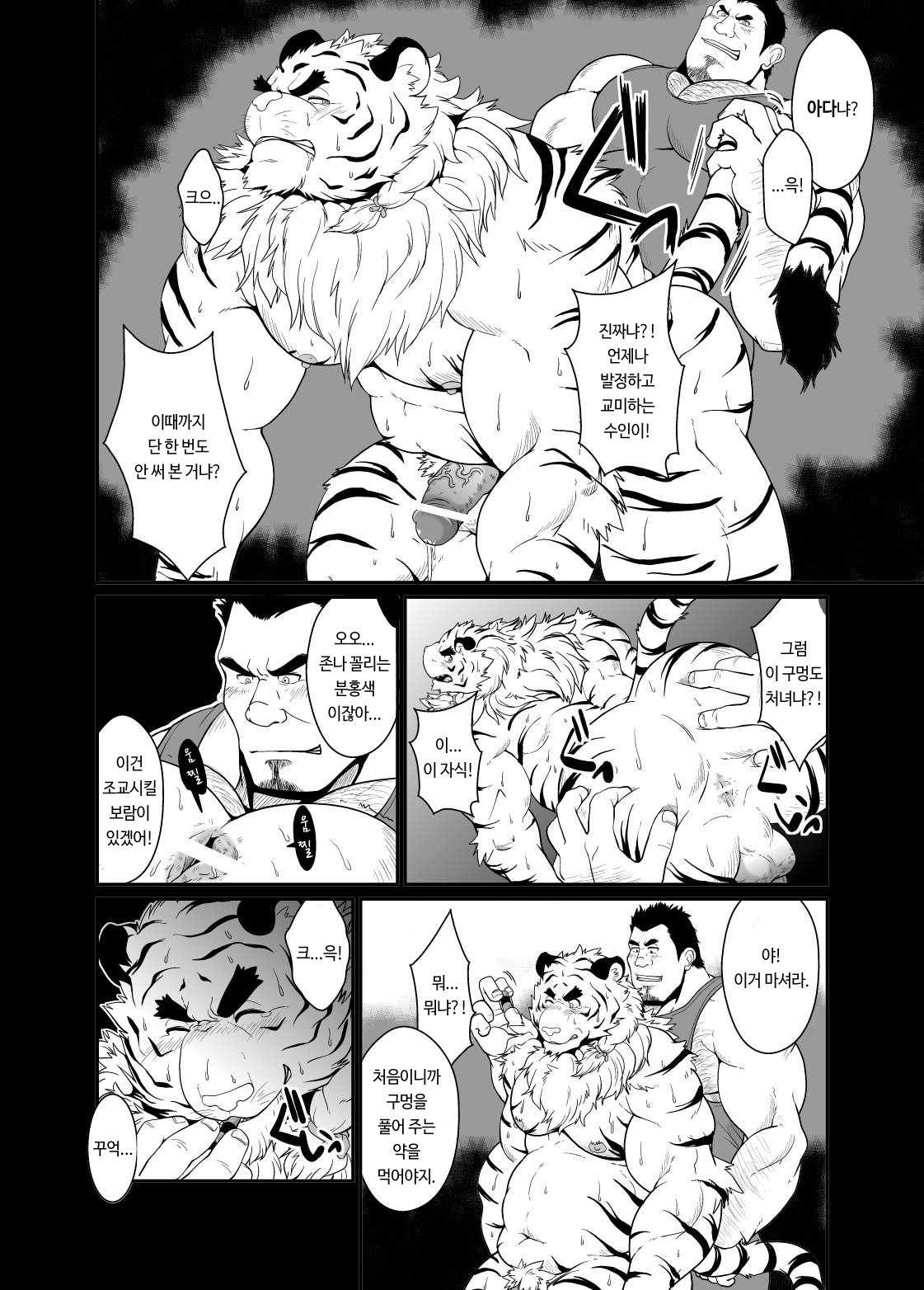 Toradorei -KEMONO Company 2- | 호랑이 노예 -KEMONO 컴퍼니 2- page 9 full