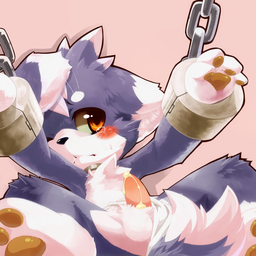 MegaCute FurryCollections before2017 page 9 full