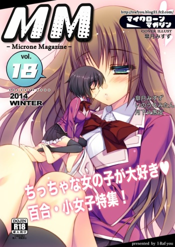 Microne Magazine Vol. 18 cover
