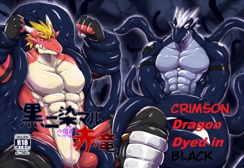 Crimson Dragon Dyed in Black cover