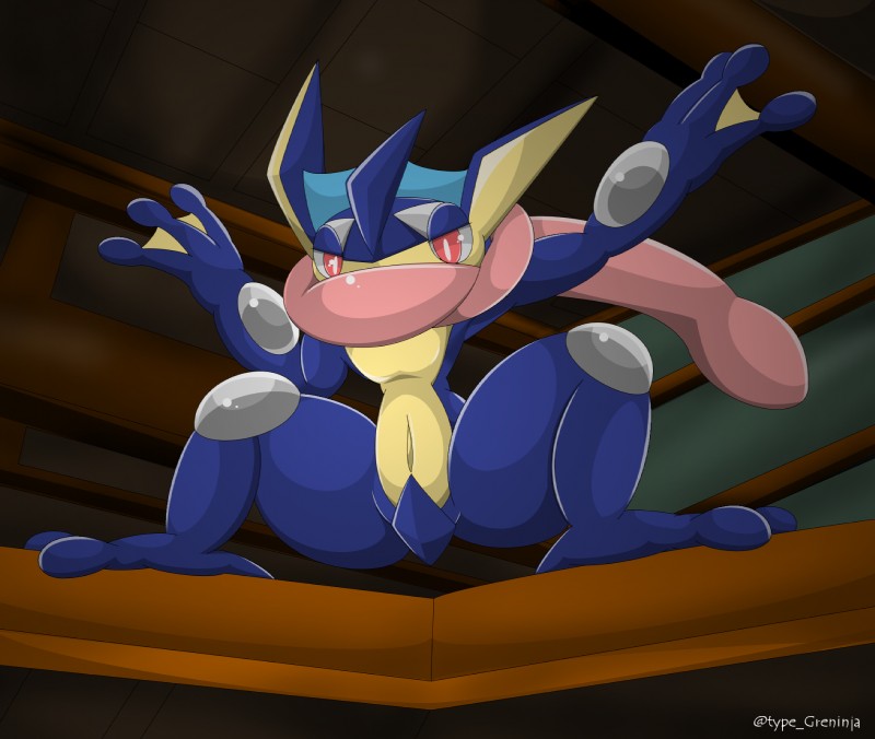 artist:type  more greninja picture. page 1 full