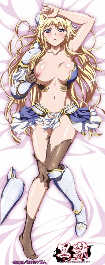 Kuroinu Dakimakura cover