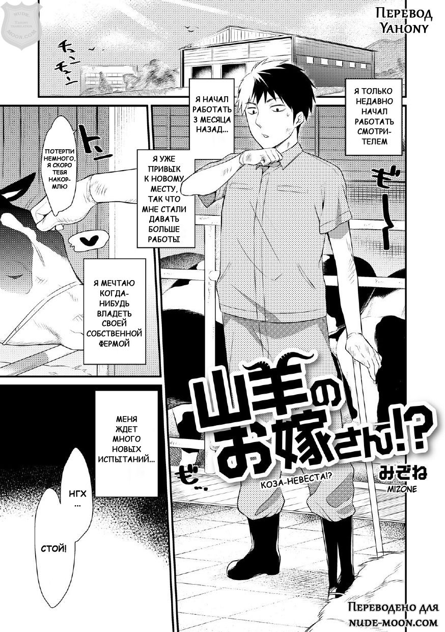 Yagi no Oyome-san!? | Коза-невеста!? page 1 full