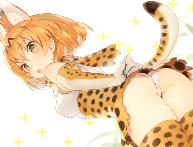 サーバル page 3 full