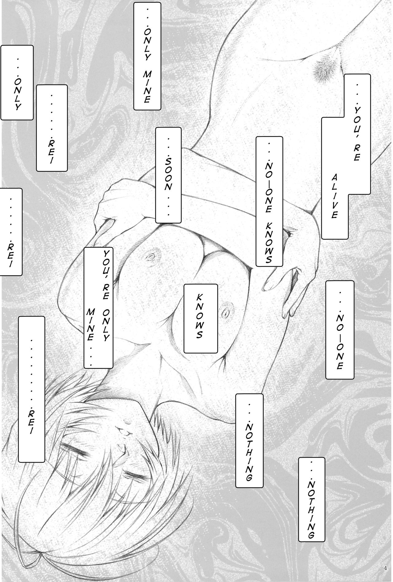 Ayanami Hokan Keikaku  Kaiteiban page 4 full