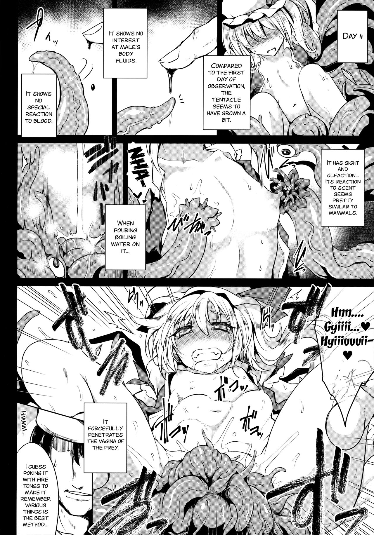 Gensou Enkou -Flandre- Shoku page 10 full