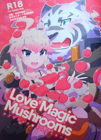 Love Magic Mushrooms cover