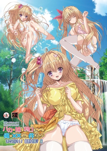 Hentai Animation Front Covers cover