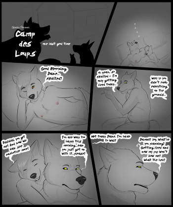 Camp De Loups' cover