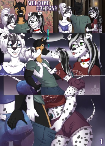 Welcome Company cover